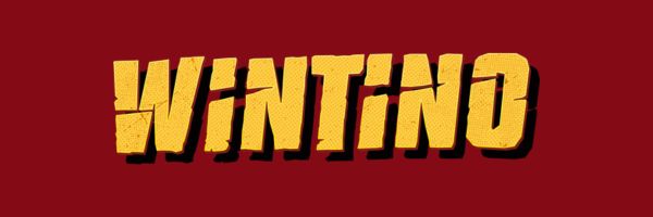 Wintino Casino new operator banner for Kiwi players